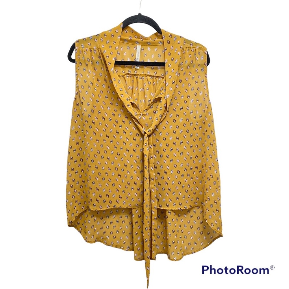 Paper Crane Sheer Cropped Hi/Lo Sleeveless Blouse
